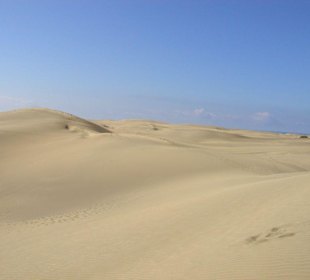 Die Dünen von Maspalomas
