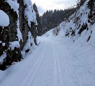 Wandern Mitterfirmiansreut 