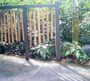 Singapur Zoo