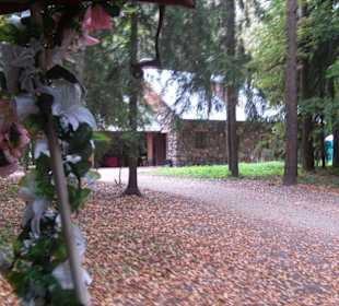 Parkanlage Pawlowsk - Milchbar