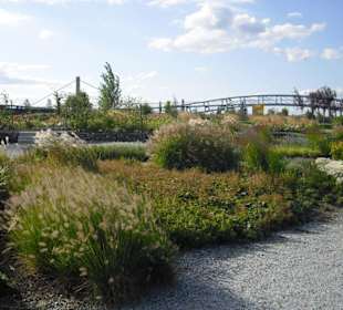 Neulandpark im Herbst