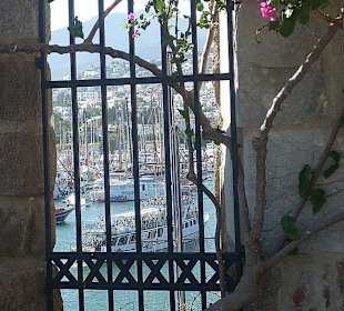 Widok z Twierdzy Św. Piotra