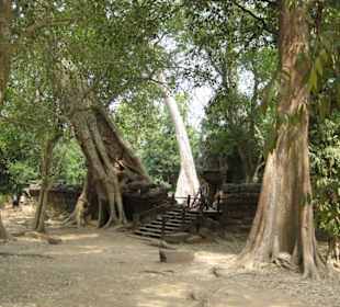 Ta Prohm