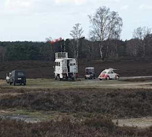 Fischbecker Heide Wanderwe 6