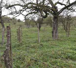 Umweltbildungszentrum Listhof