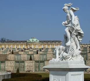 Schloss Sanssouci mit terrassierten Weinberg