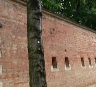 Baumlehrpfad Glacis Park