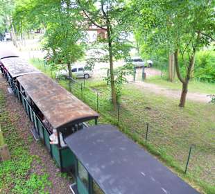 Kolejka wąskotorowa ze Żnina