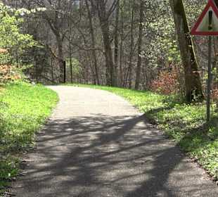 Baumlehrpfad Sontheim
