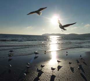 Strandaufnahme
