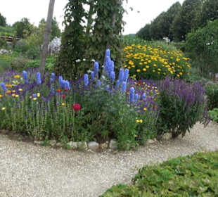 ALB-GOLD Naturgarten