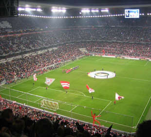 Allianz Arena DFB pokal 2007/08