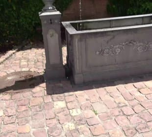 Brunnen bei der Kirche Altensteig