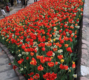 Schloss Trautmannsdorf