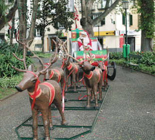 Rentierschlitten in Funchal