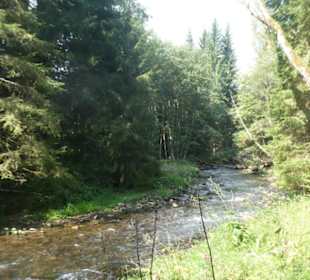 Wunderbare Wanderung am Großen Regen