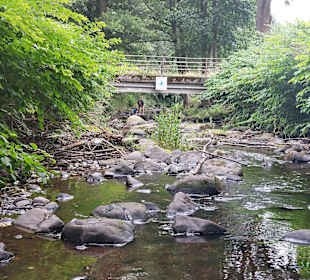 Wandern Bad Gottleuba-Berggießhübel