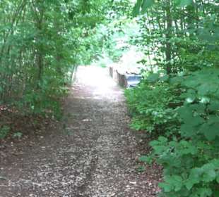 Hochgeträumt Premiumwanderung