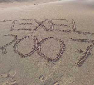 Texel 2007