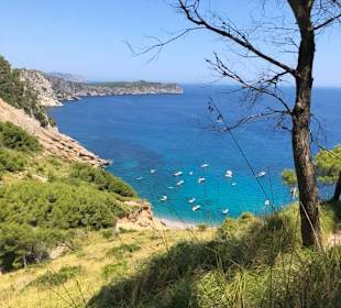 Platja de Coll Baix von oben