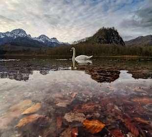 Wandern Grünau im Almtal