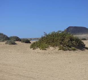 Ausflug nach La Graciosa