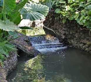 Impressionen aus dem Stadtpark von Funchal