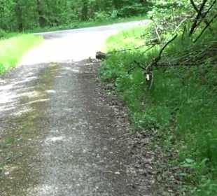 Naturpark Schönbuch