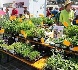 Blumen- etc. Verkauf