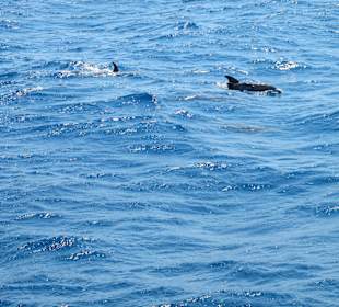 "Mama mit Kind" (Juni 2011)