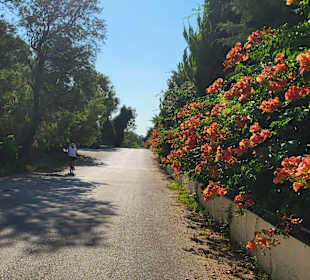 Wandern Georgioupolis