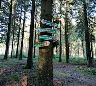 Wandern St. Englmar