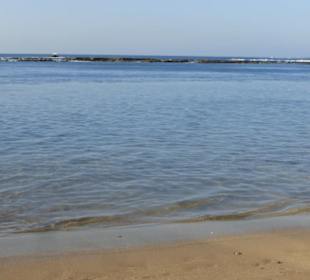 Die Playa de las Canteras von Las Palmas