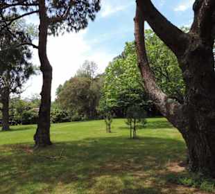 Im Western Springs Park