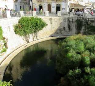 Süßwasserquelle Fonte Aretusa