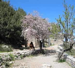 Lashiti Hochebene Kreta