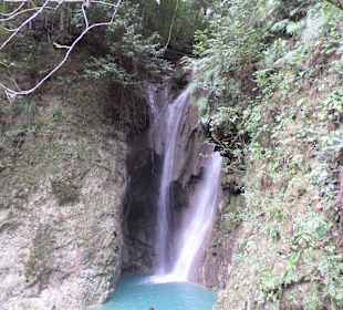 Dschungel - Trekking