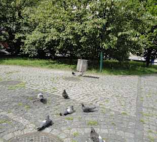 Park