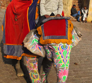 Auf dem Elefenten zum Fort