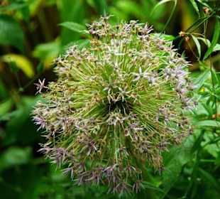 War meine, nur so eine Kugel