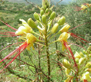 Unterwegs. Schön oder ?
