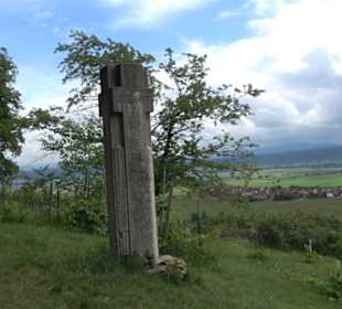 Schutzgebiet Spitzberg, Pfaffenberg