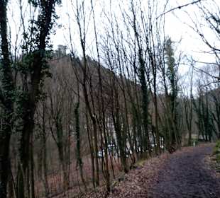 Annweiler Burgenweg in Annweiler am Trifels