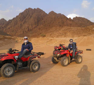 Quad Tour