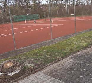 Tennisplatz Neckarhausen
