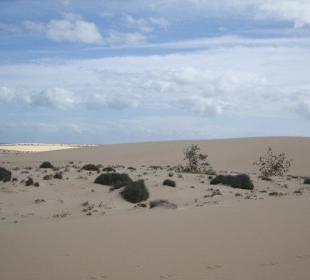 Naturschutzgebiet bei Corralejo