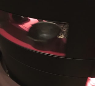 Rheinisches Landesmuseum