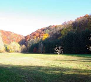 Affalterthal Anbaugebiet