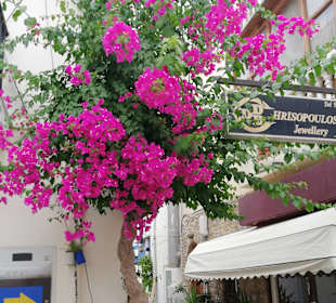 Kardamena