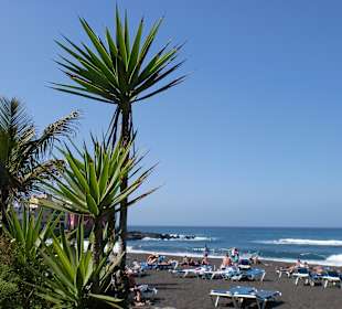 Strand und Parkanlage unterhalb Loro Parque